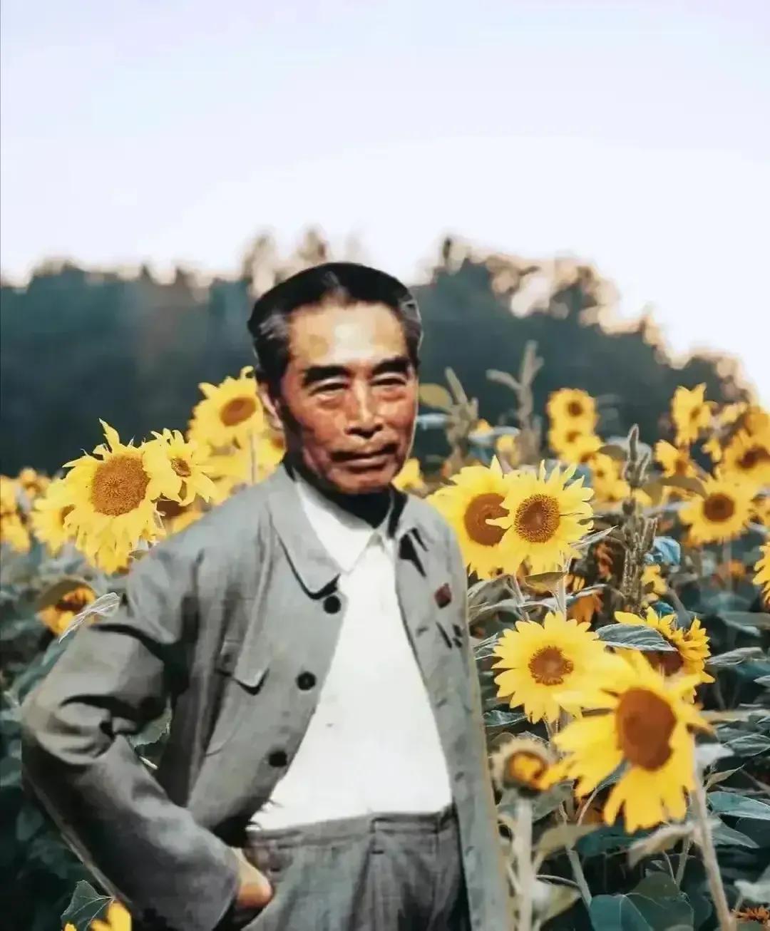 周总理：一帆风顺是不能磨练人的。