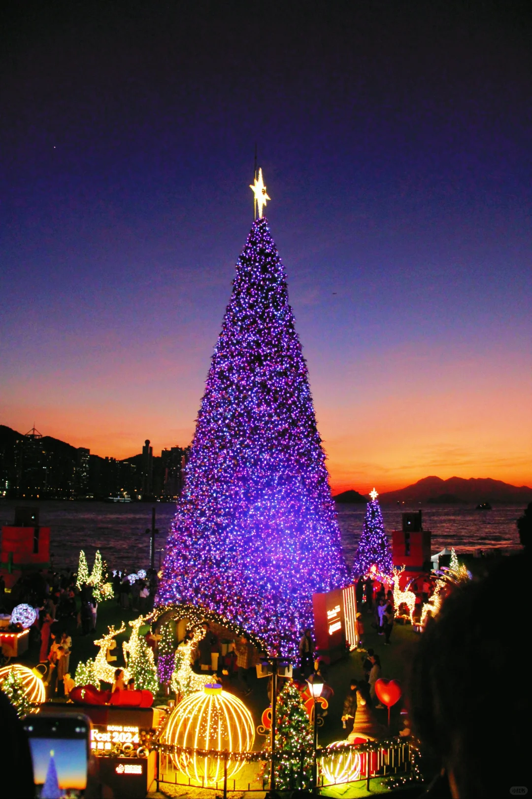 11个机位❗️香港的圣诞浓度已达10000%❗️