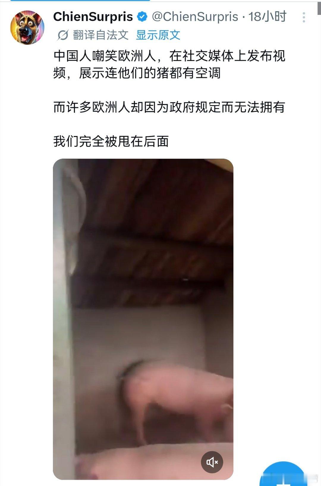 法国人羡慕中国的猪，因为猪有空调吹，法国人没有法国紧急下单3万台空调