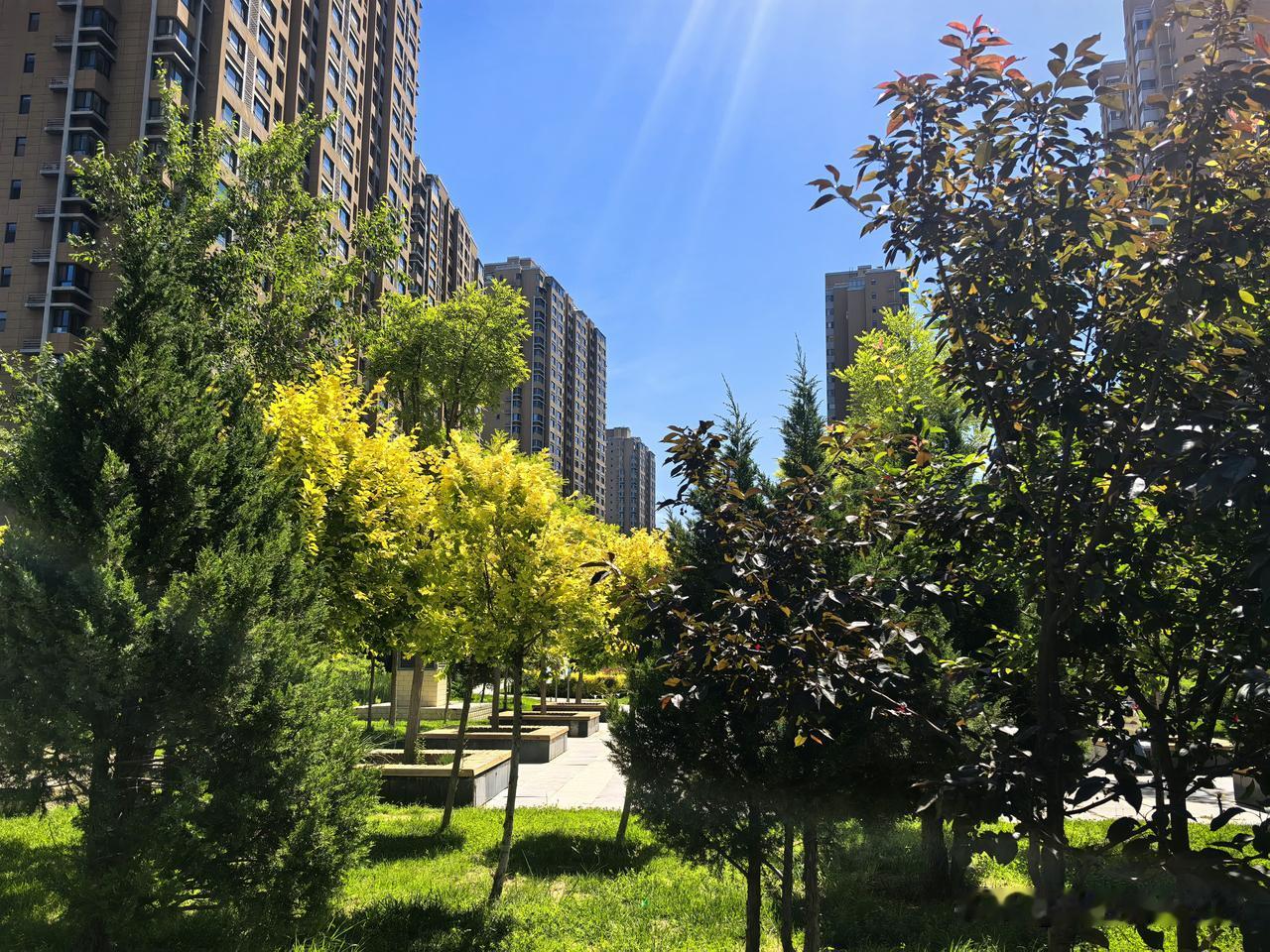 我认为会。 怀念上学的日子，那是自己曾经度过的美好的岁月，不是贪恋课堂，而是怀念