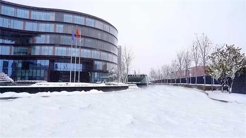 早上好呀！沈阳昨天迎来了今冬第一场雪，公司的建筑都像是披上了一层外衣。正所谓瑞雪