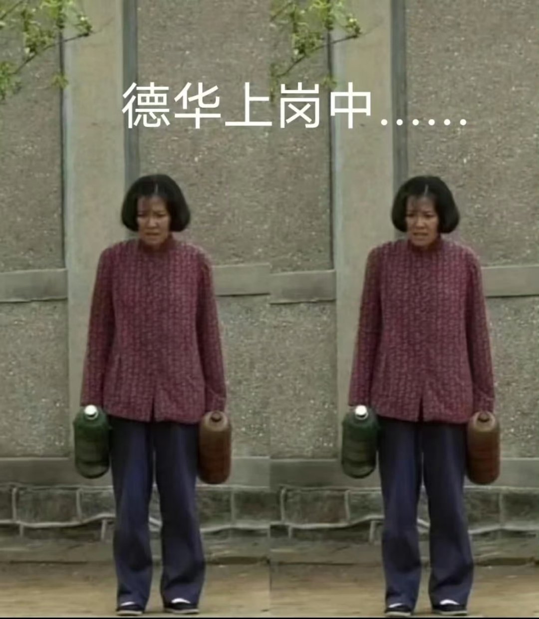 现在的德华已经不怕带娃了现在的德华已经不怕带娃了，凭借着不断积累的经验与层出不穷