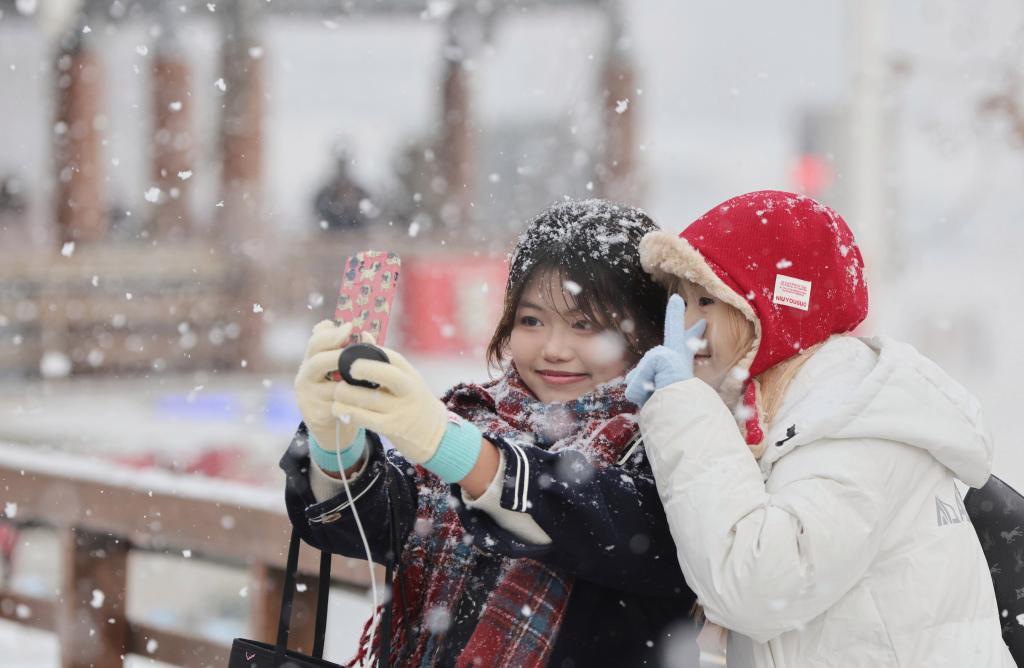青岛栈桥冬日奇观：零下11度海边暴雪如诗，南方游客尖叫拍照不舍离去！

当雪花如