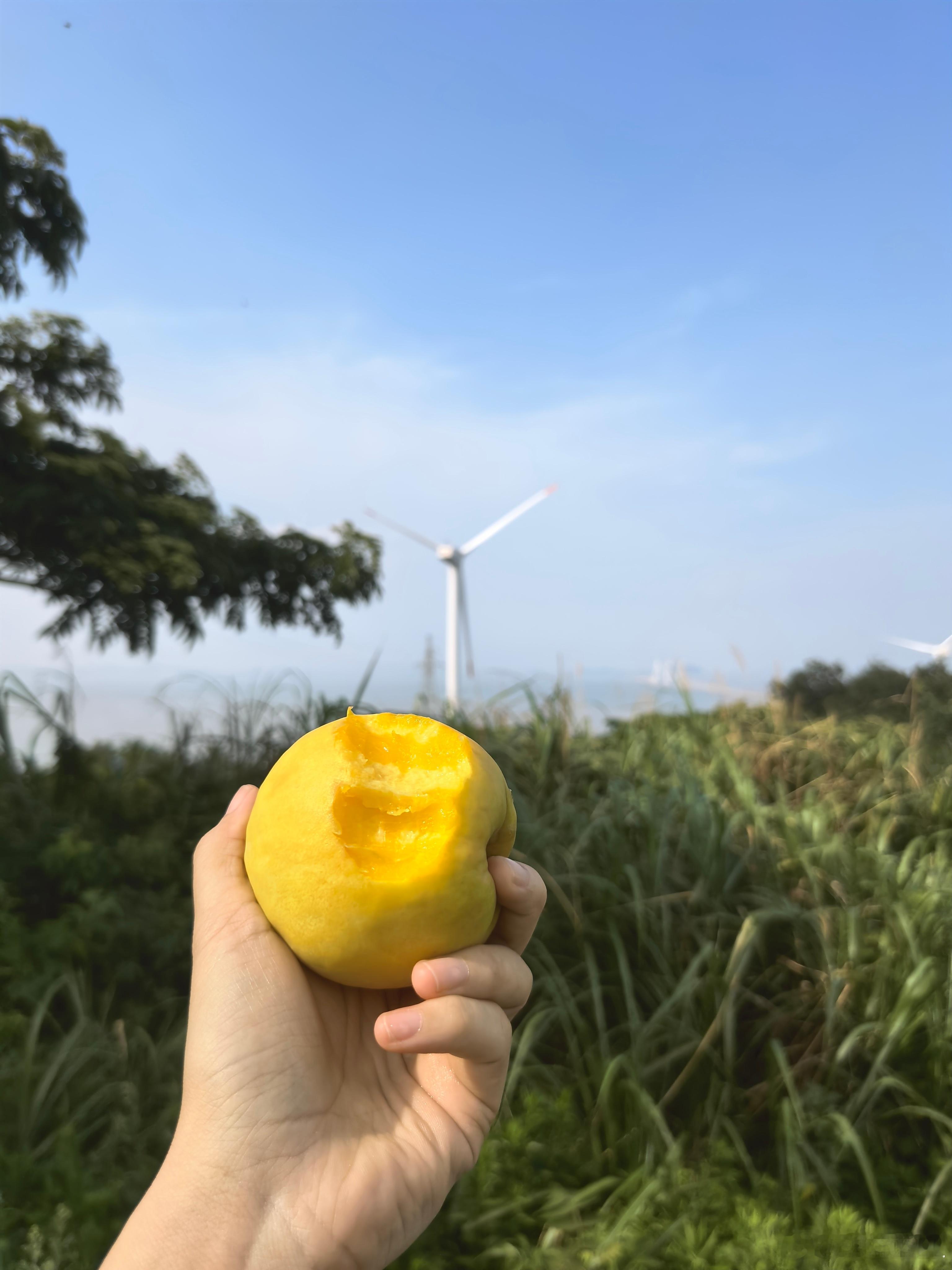 我发现我应该去当吃播是不是？天赋可高。可能找吃的。话说这里怎么连个人影都没有。我