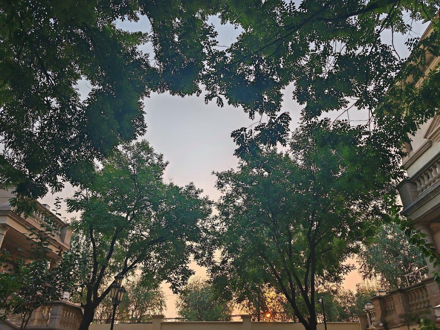 纪路流水账 0529.朝朝暮暮，我心依旧。 ​​​