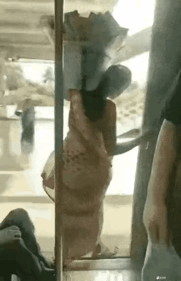 看到这视频感慨，这不就是我们小时候看《铁道游击队》中飞虎队的缩影吗？功夫都是练出