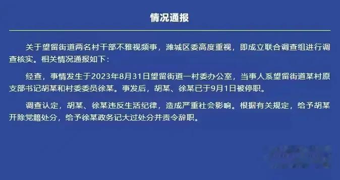 村书记与妇女主任“深入交流”一事，有了处理结果了！

书记被开除党籍，妇女主任政