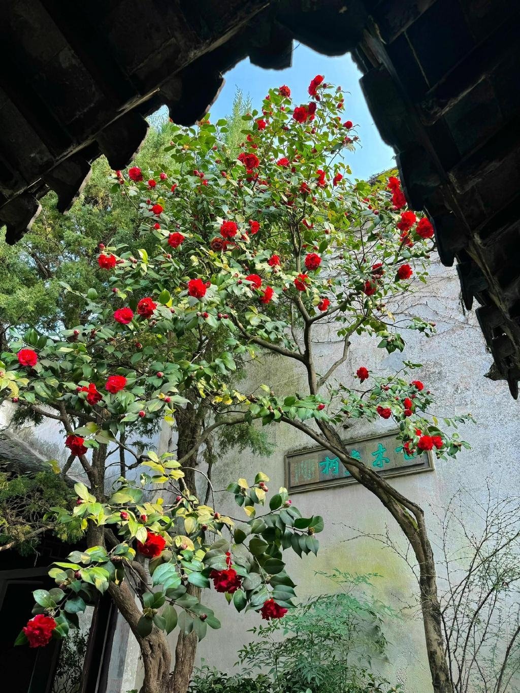 这大概就是老祖宗骨子里不灭的极致审美吧！！！ 