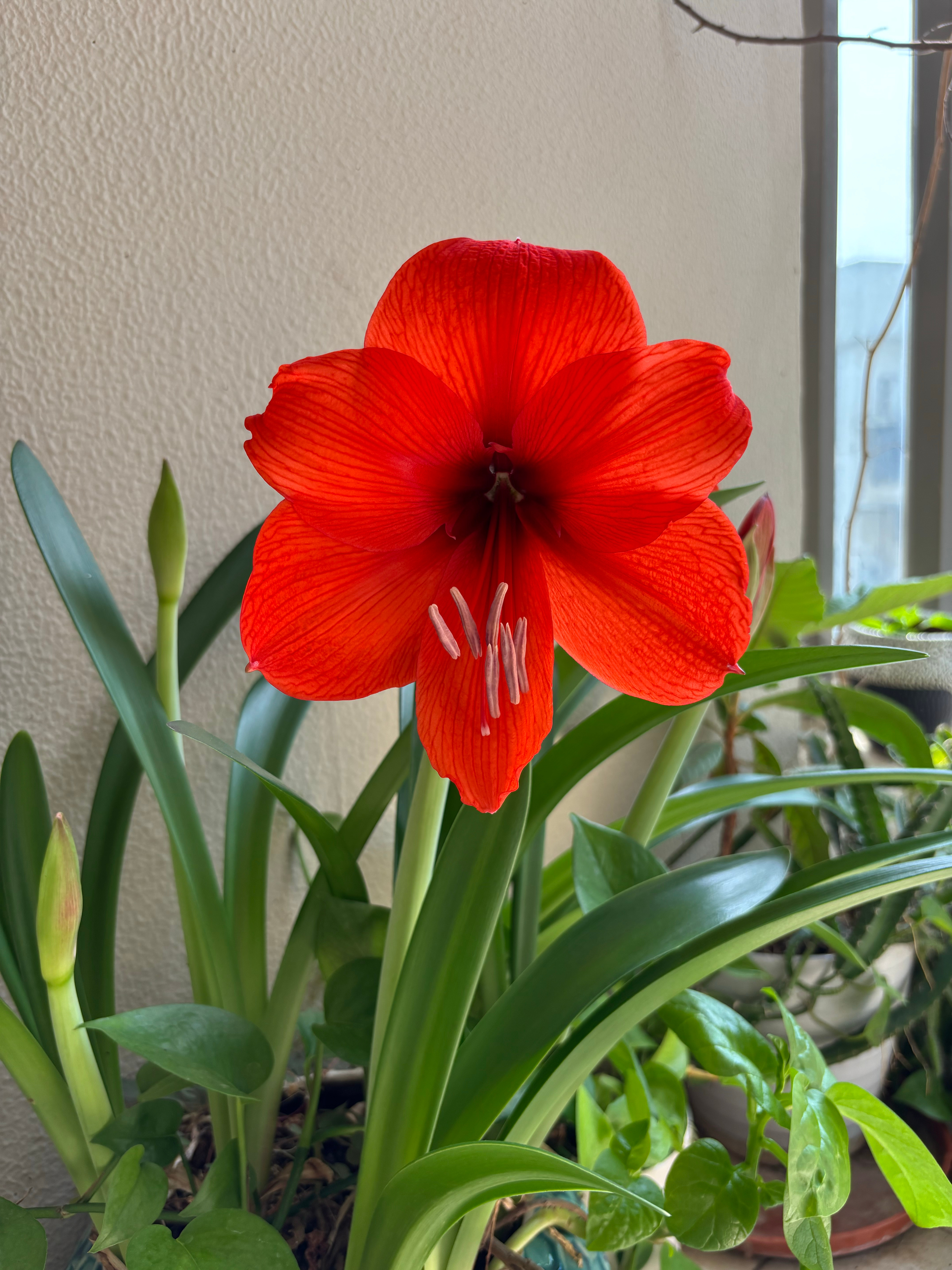 昨晚去公园散步，上了个洗手间出来正在洗手的时候，看到一个中老年男子在那探头探脑，