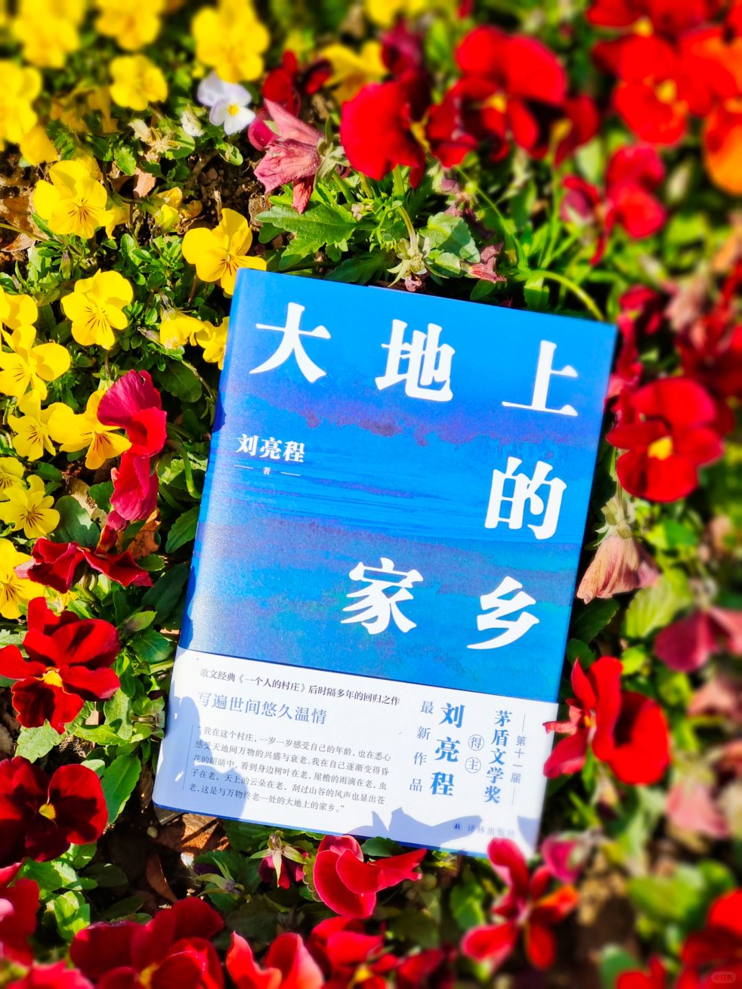 当你焦虑不安时，读一读刘亮程的散文吧