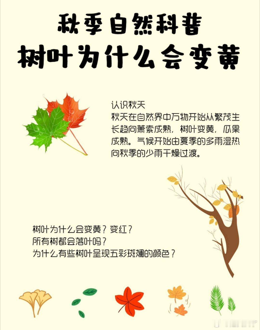 树叶为什么在秋天会变色一般立秋后代表着秋天的开始，但真正凉快要到白露节气以后。秋