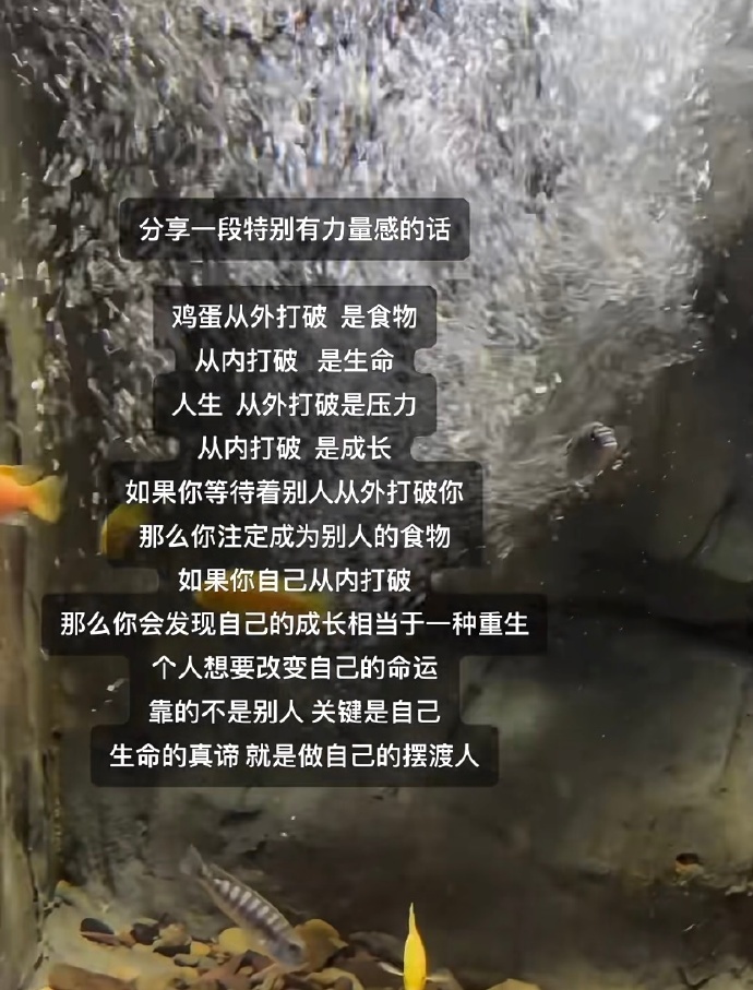 请握紧自己手中的大女主剧本