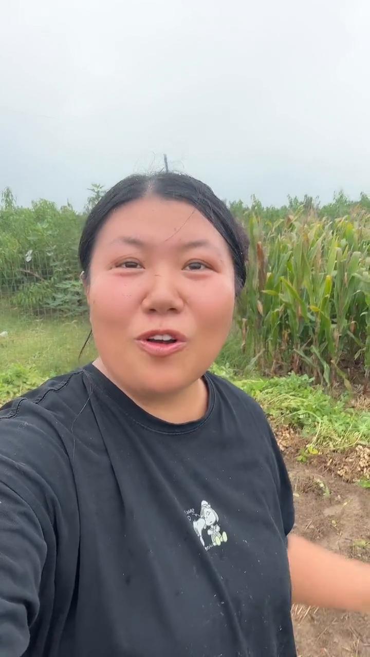下着雨下地薅罗生，狗都不薅，狗不薅我薅，薅的就是这个罗生。先叫我妈感受一把什么是