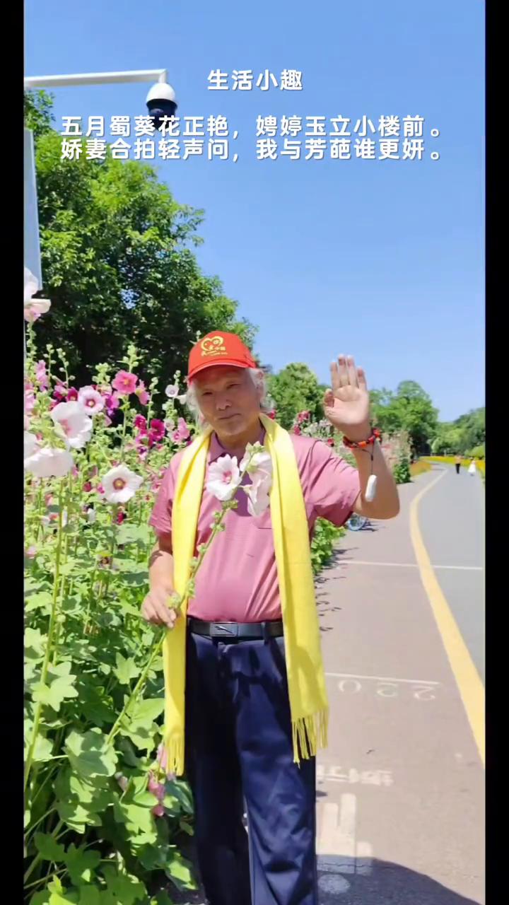 生活小趣。
五月蜀葵花正艳，娉婷玉立小楼前。娇妻合拍轻声问，我与芳葩谁更妍。