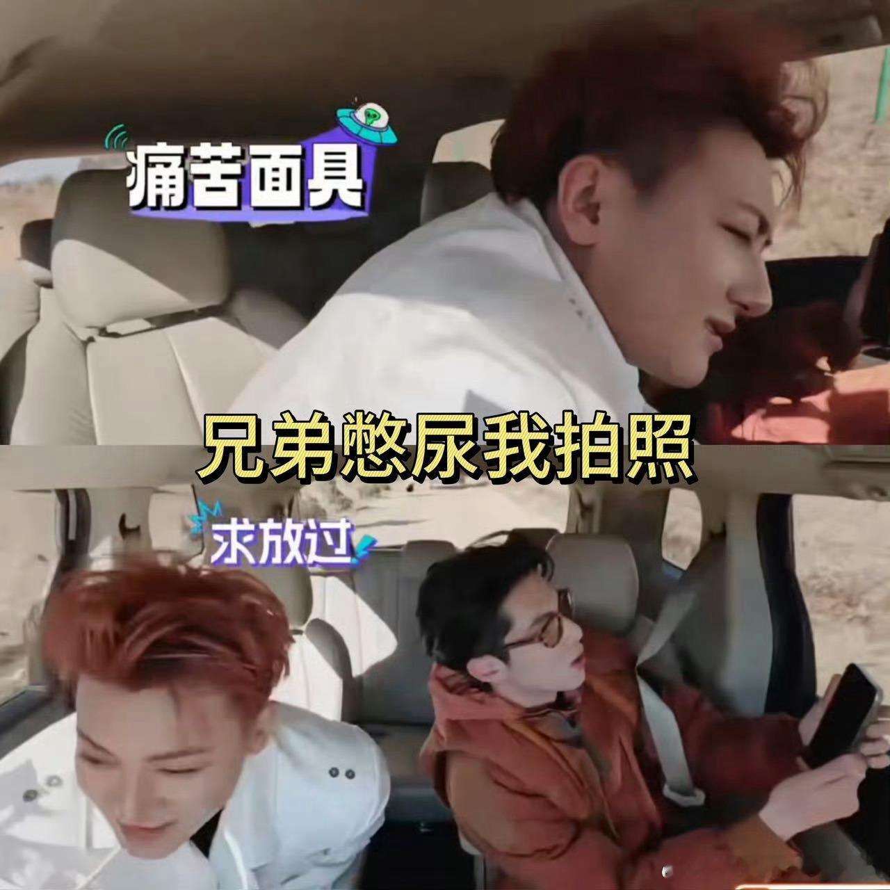 哈哈哈哈笑死我了🤣车上黄子韬水喝多了想上厕所 兄弟王鹤棣看到慢悠悠的打开手机拍