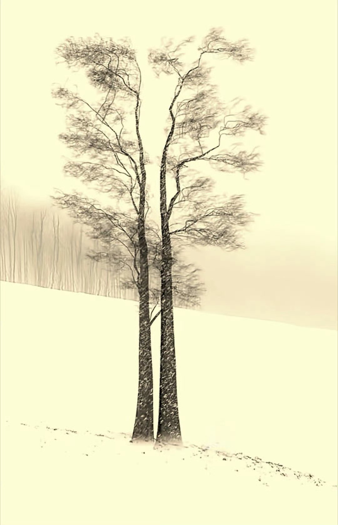 人和人，别说配不配，合适就好；一块钱的打火机也能点着一万块钱的香烟；几万块钱的一