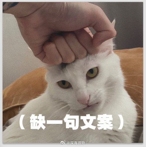 帮忙想一句表情包文案 