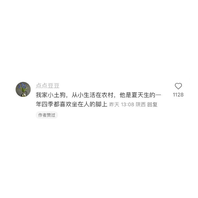狗子回村不想坐地上belike 