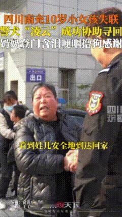 泪目了！四川南充，10岁女孩丢失，警犬“凌云”成功协助寻回，奶奶登门哽咽撸狗感谢