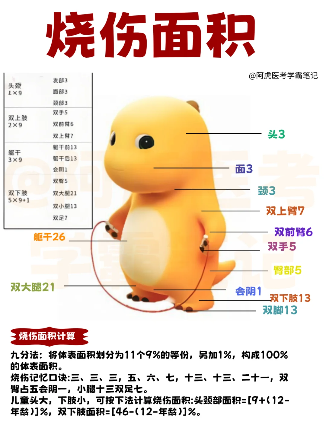 医学生笔记📒：烧伤面积👆