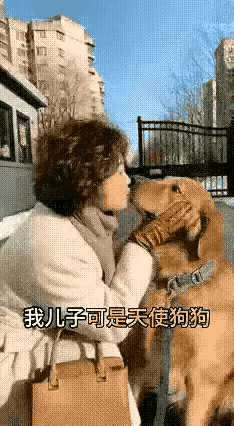 牲口翻脸不认人，咬下耳朵了没，这下长记性了吧，远离宠物，