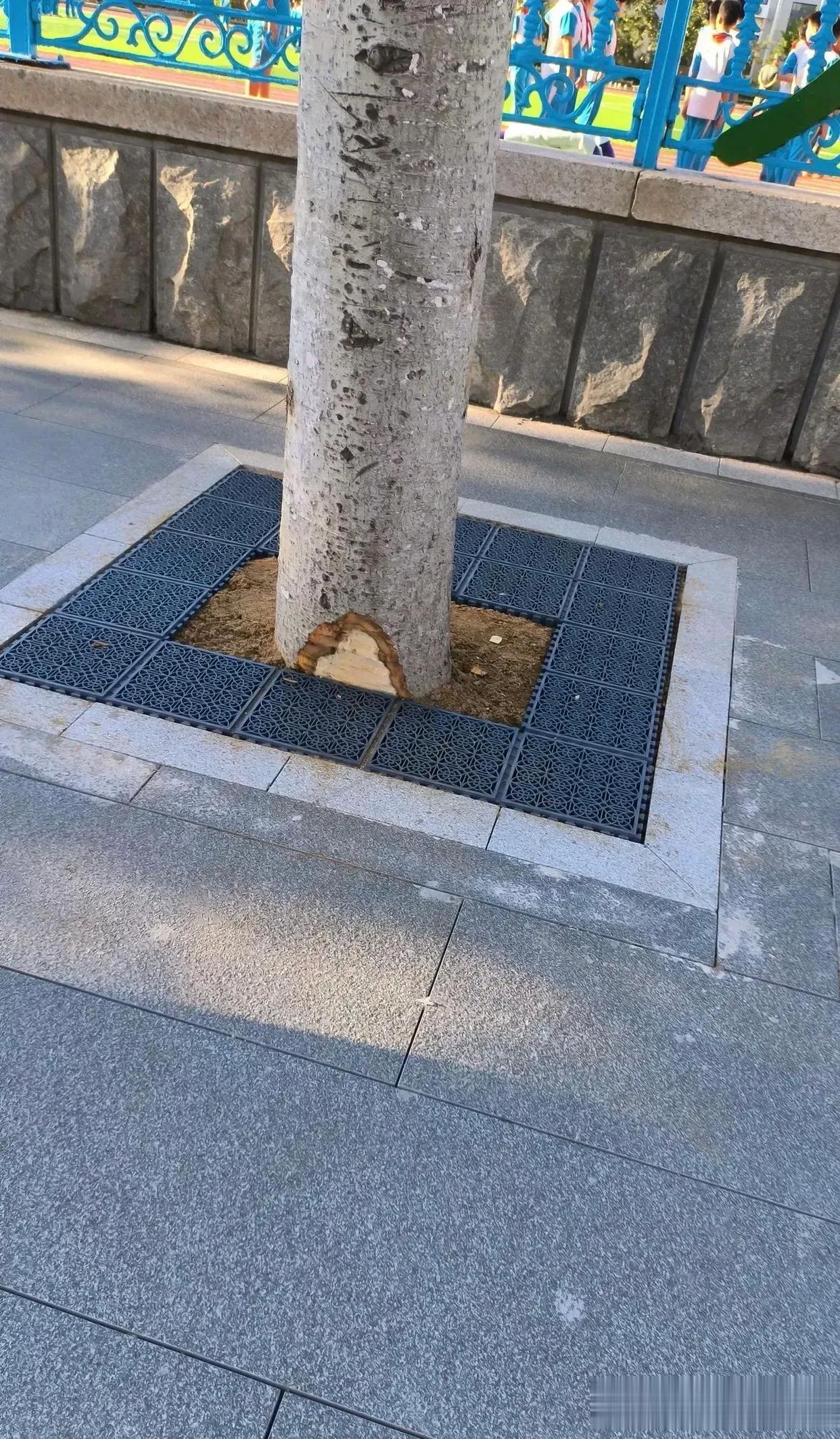 如此施工，削足适履 ​​​