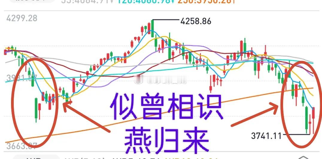 一阳改三观，转为看多的投资者又多了起来。反弹就是反弹，不是反转，市场还不具备反转