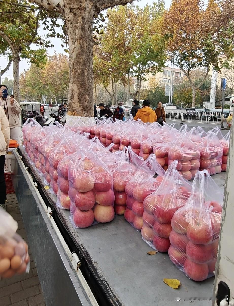 这就是被央视点名的“苹果大哥”！

一车红彤彤的苹果堆得跟小山似的，个个裹着透亮