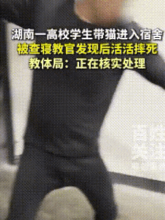 湖南湘西为民职业技术学校，因为一只幼猫，这下出名了！学生将它带进宿舍，被查寝人员