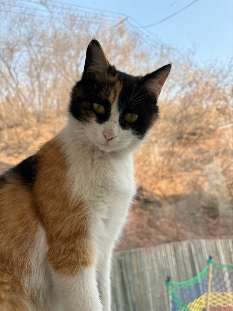 又是周末了，又能见到我的墨墨和蛋妞们了。