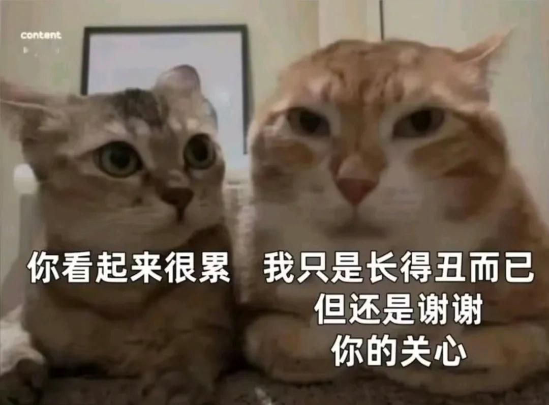 谢谢关心[心] ​​​