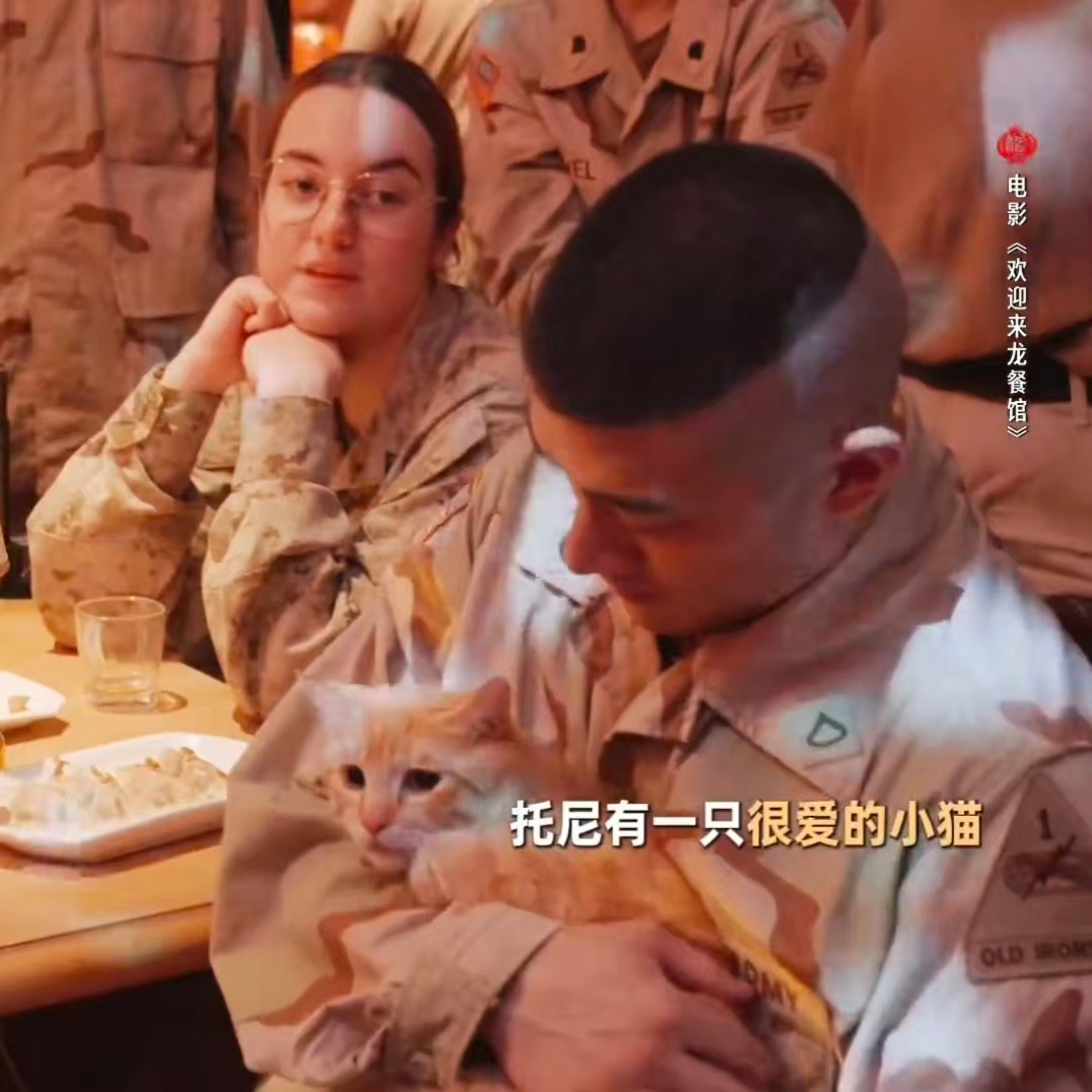 龙餐馆里的小猫来找托尼了龙餐馆托尼和小猫售后 龙餐馆里小猫来找托尼，这是什么神仙