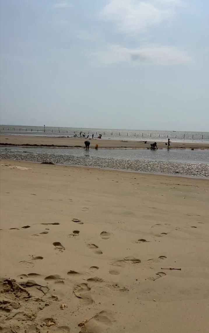 旅居最大的乐趣是什么?
“黄朝八晏”
​这几天都听到👂🏻起茧了
是哪几个东北