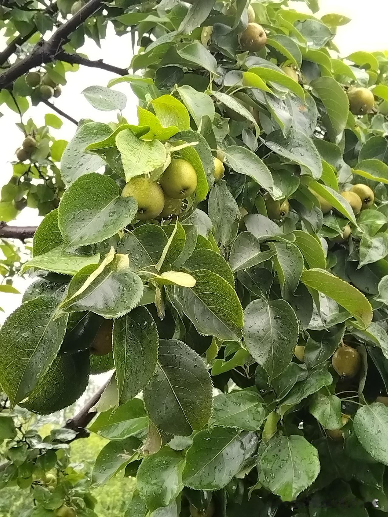 想改变对财富的认知，得先打破固有思维。很多人停留在打工思维，靠时间、精力和技术赚