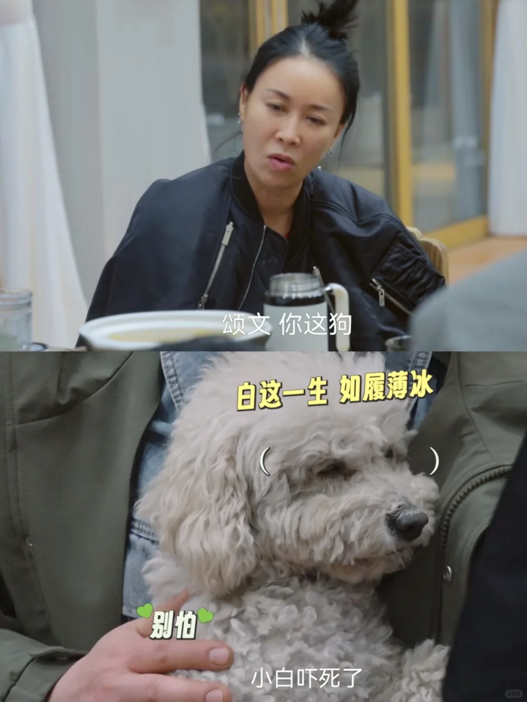 张颂文的小白 人生第二次劫难绝对是那英❗️