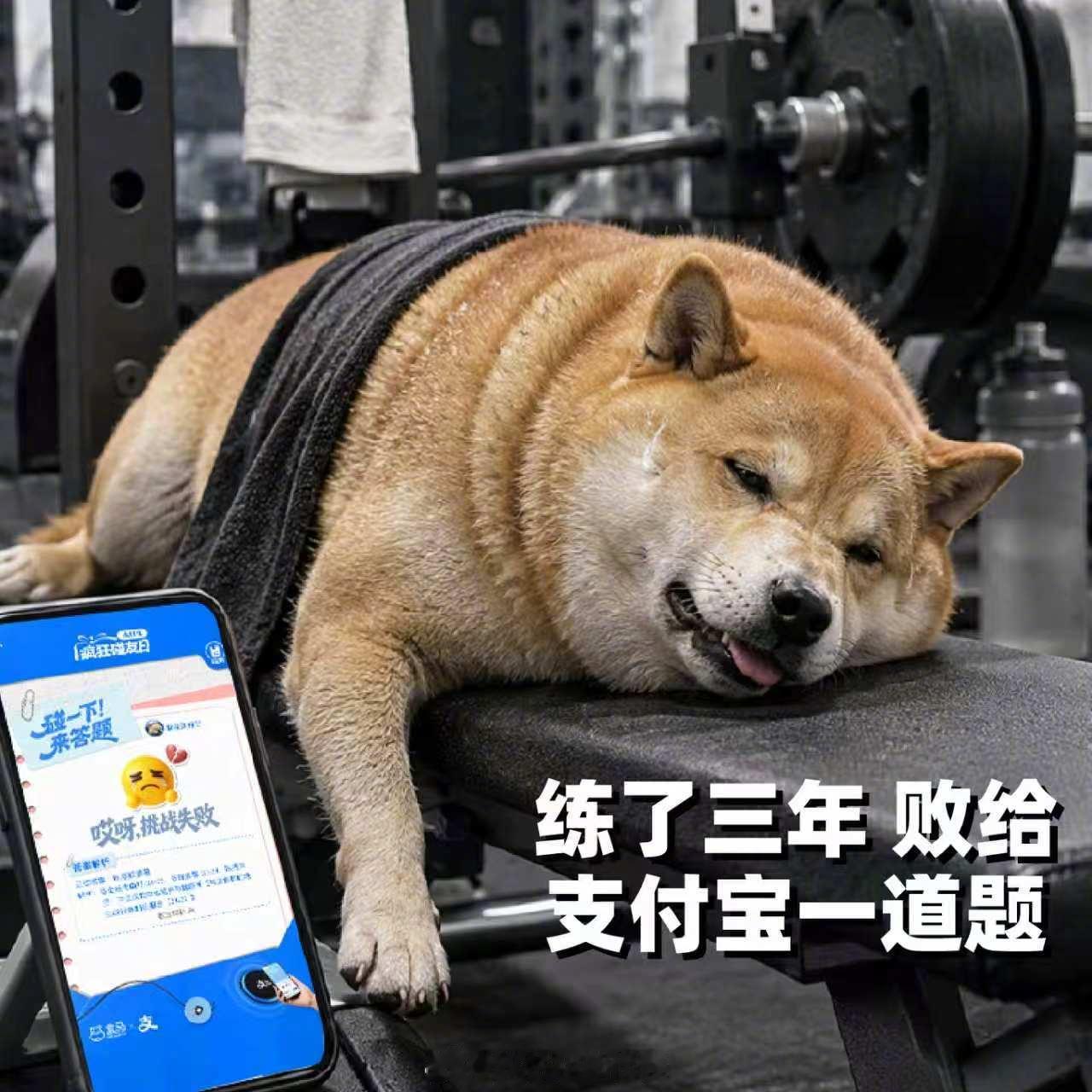 Keep官方为支付宝答题用户避坑刚刷到Keep出了个健康题避坑攻略，说是健身圈好