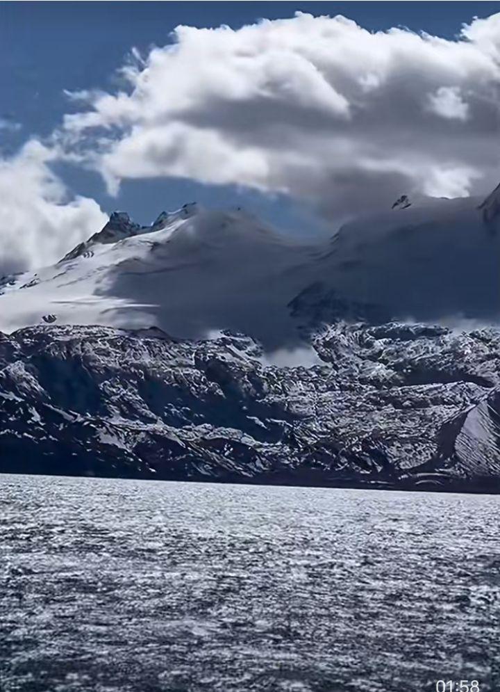 玩法合伙人计划 对口型 抗体和抗原的区别 肿瘤细胞实验 转录和翻译
