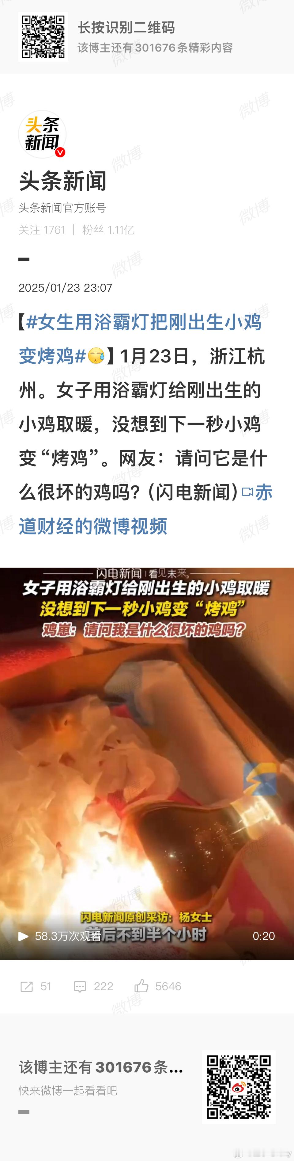 女生用浴霸灯把刚出生小鸡变烤鸡 小动保这个时候在哪里？[doge]如果是把刚出生