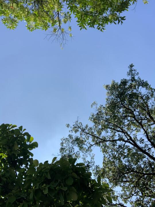 仰望的那天，遇见了天空🍃