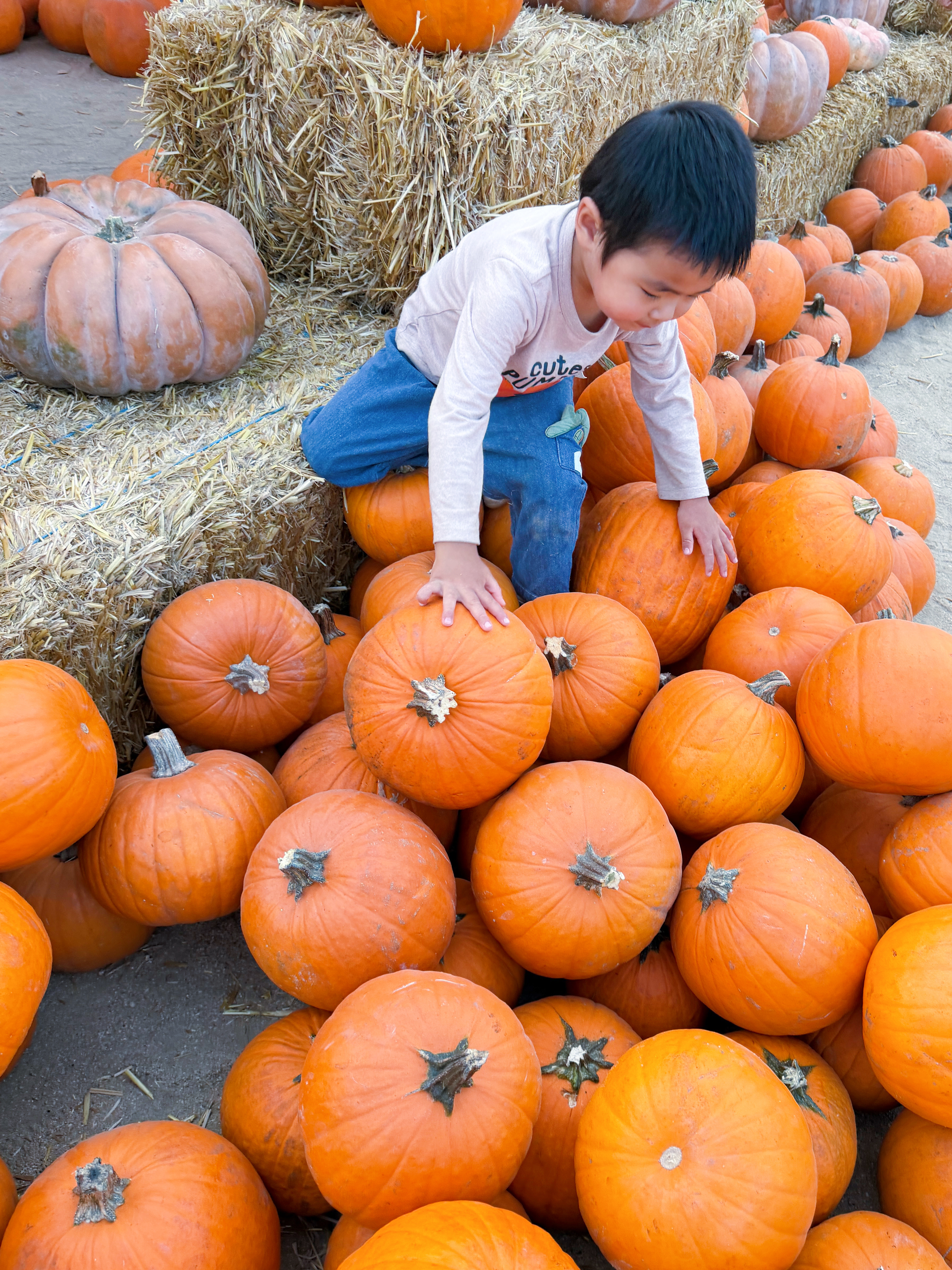今天是小蜘蛛侠🎃🕷️ ​​​