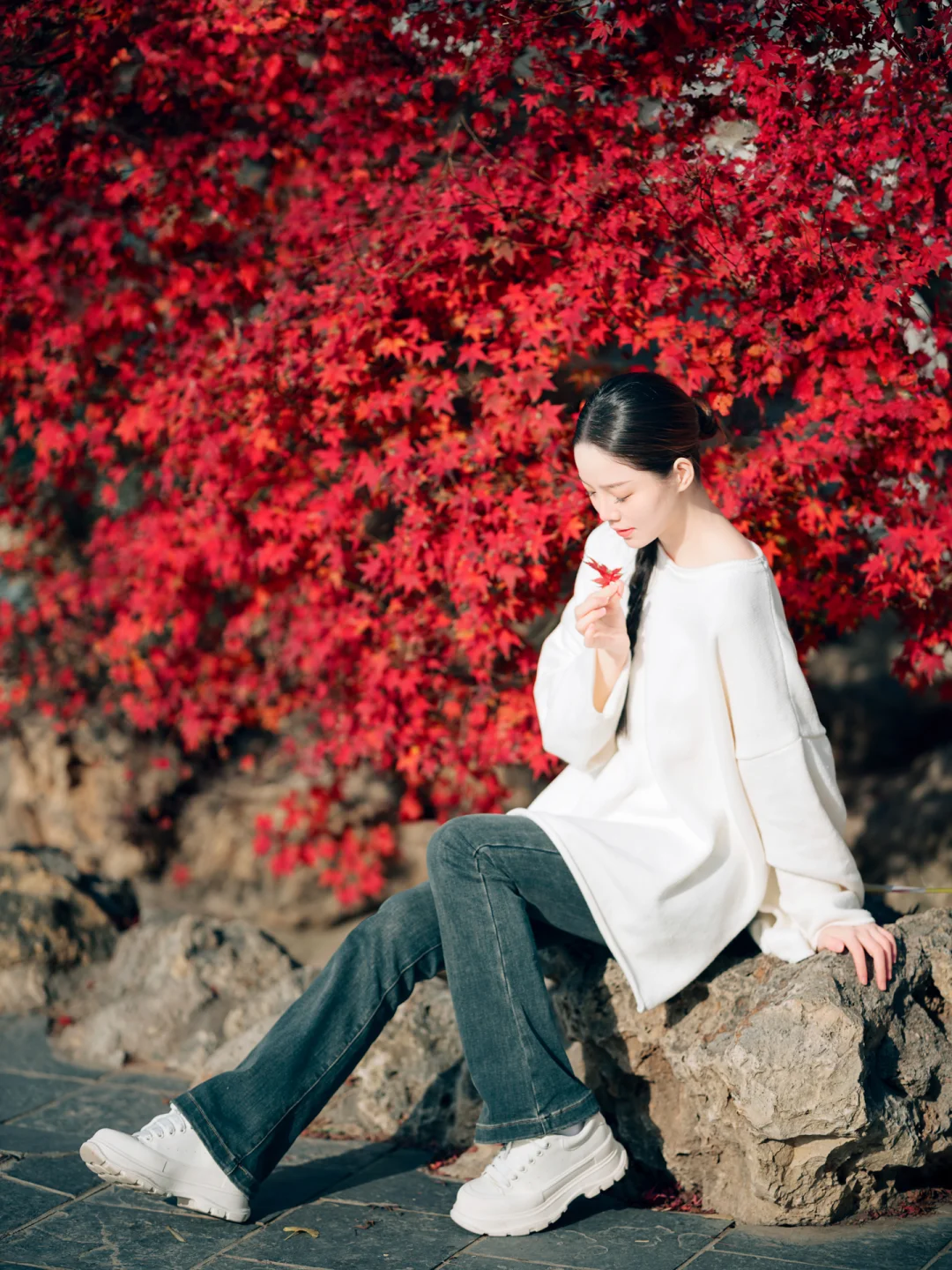 【北京秋色】紫竹院红叶📷最后的秋日盛宴！🍁