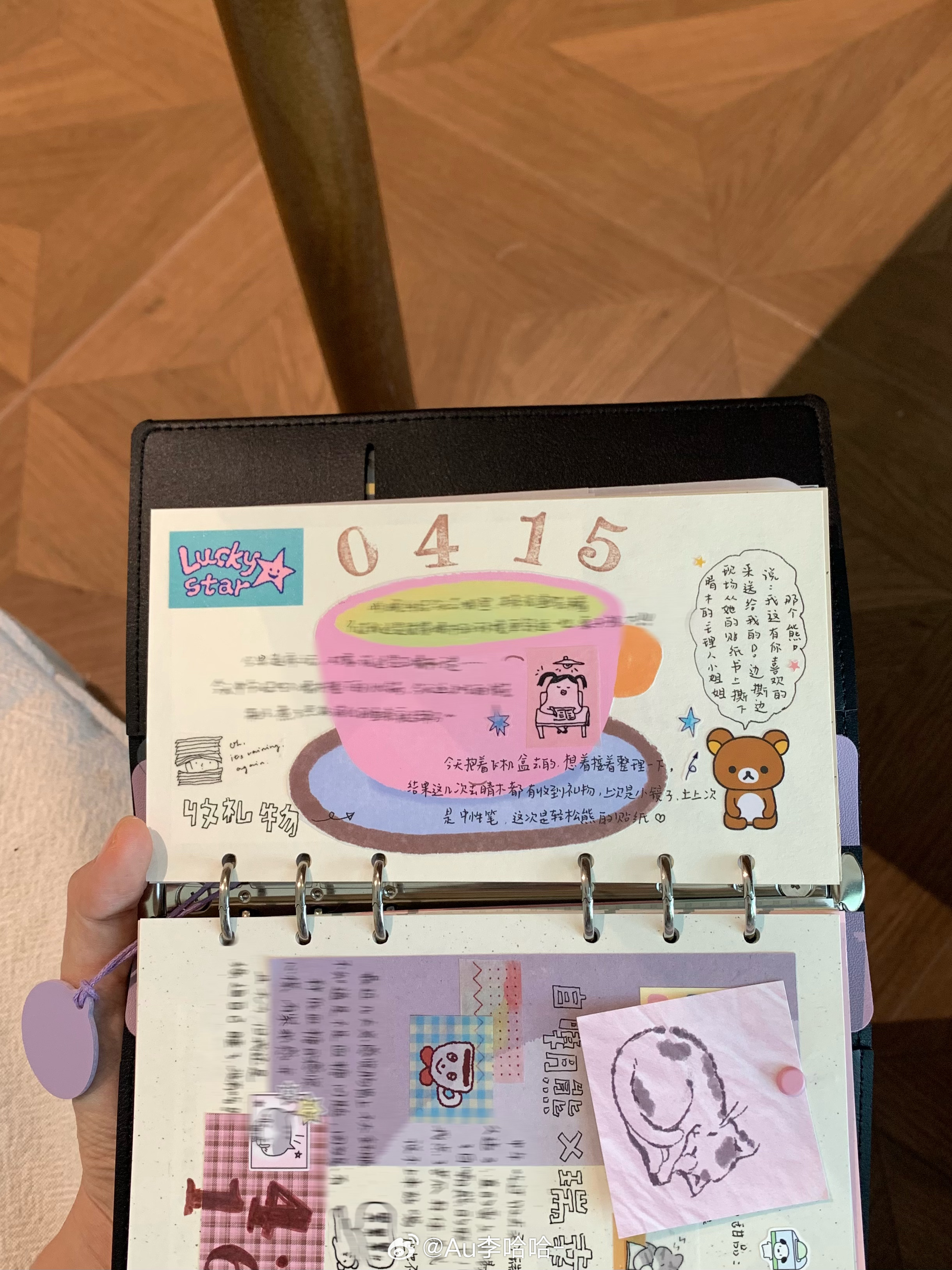 李哈哈强迫大家看滴手账合集2.0上个月的还没发完！手帐﻿给你看看我的手帐吧