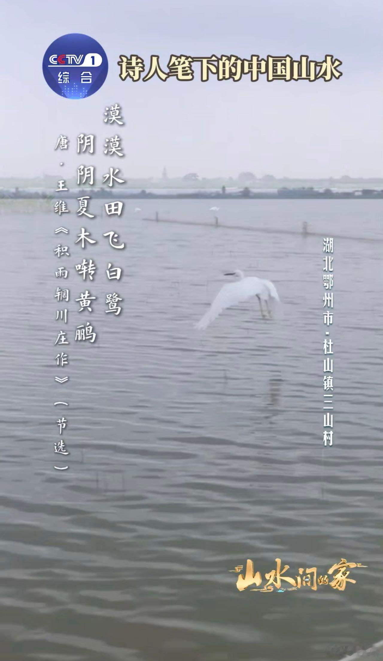 中国人用几千年给山水写诗面对中国山水古人全是诗张力 古人的浪漫太戳人了！把山水的