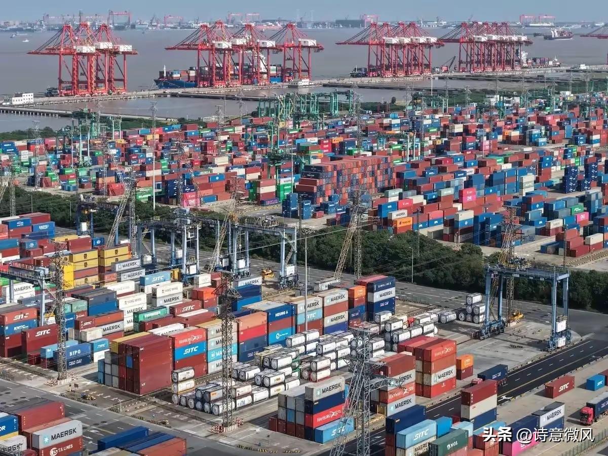 日本被踢出局，仅仅48小时，高市就开始报复：拿中日关系做文章。
 
这事儿来得太