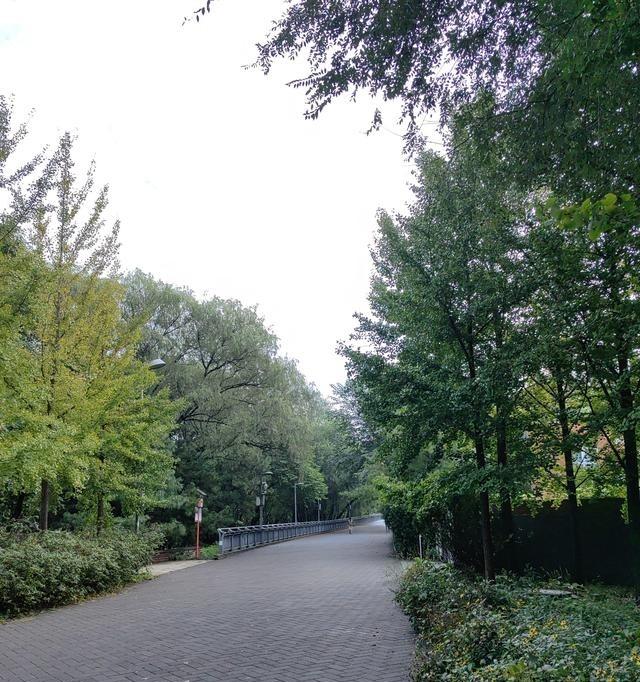 大武口今年别指望提前供暖了，能按时供就不错。全市在搞热力管道改造，赶上一直下雨，