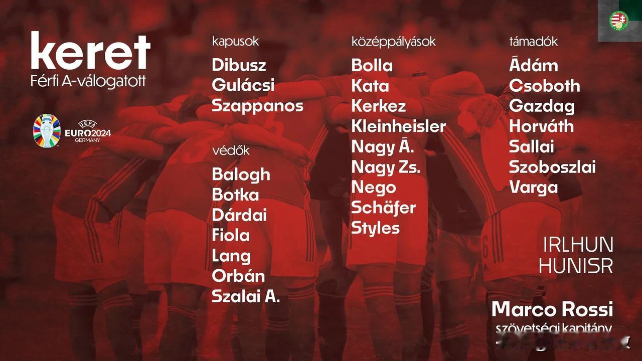 匈牙利队欧洲杯26人大名单中，只有8人来自五大联赛，他们分别是：
前锋——罗兰-