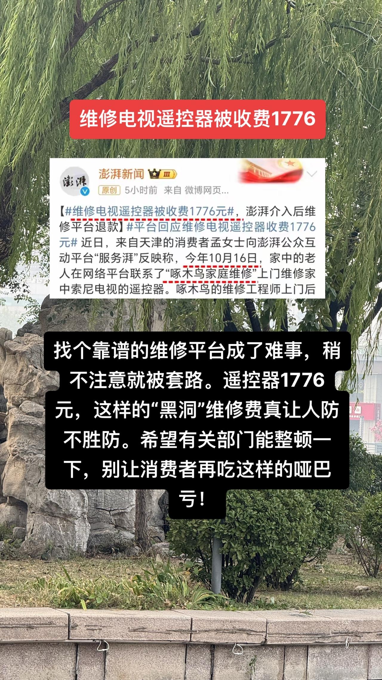 天津的孟女士家里，老人用网络搜索“索尼电视官方售后”，结果搜出来一个看似官方的“
