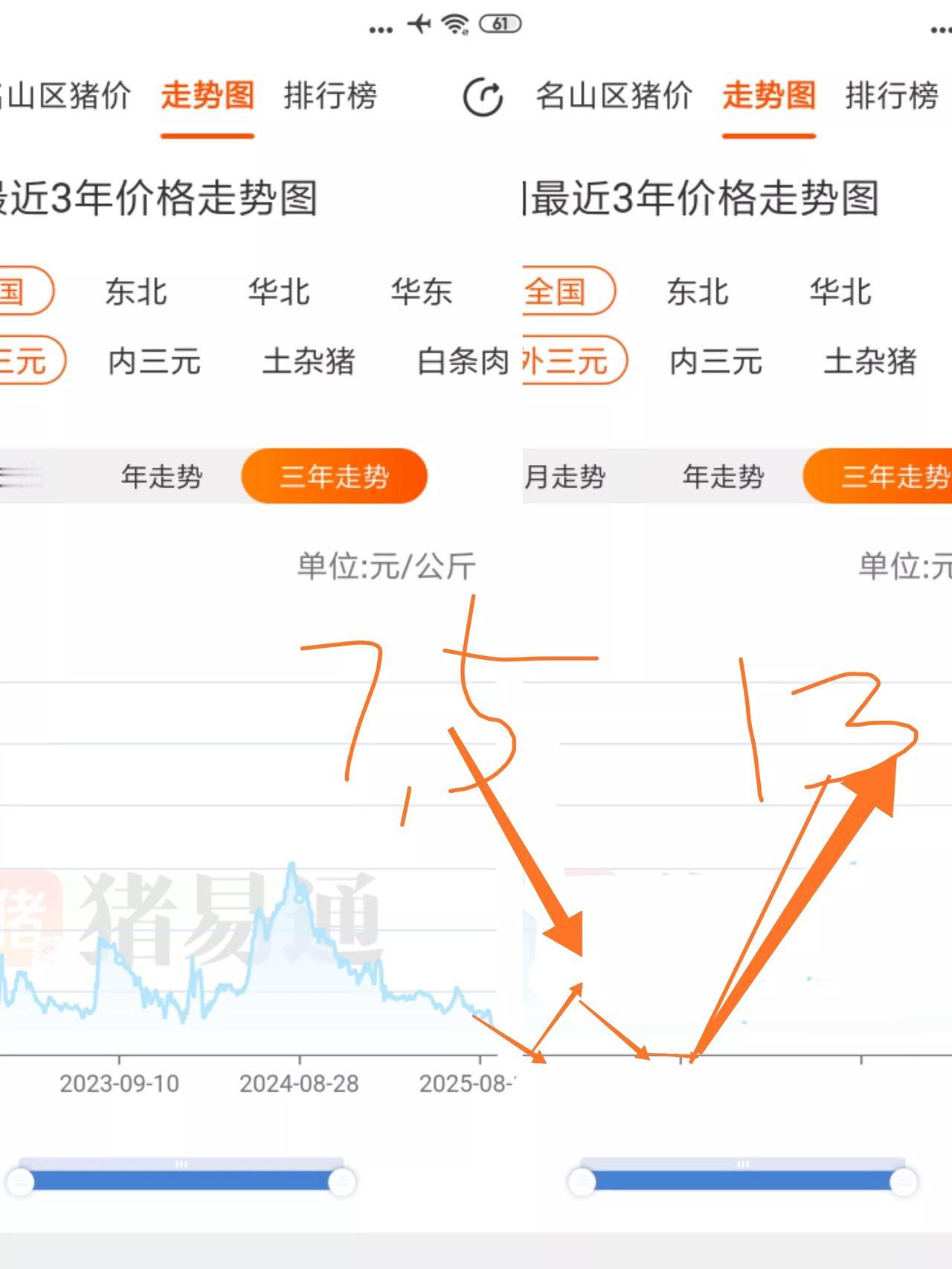 2026年生猪走势图