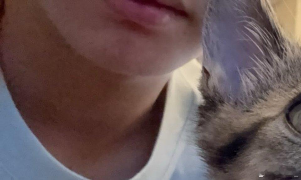 就这样在我背资料的时候发一张半漏不漏的嘴照破我道心吧 啊啊啊啊 