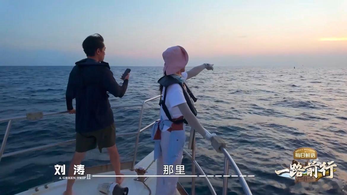 胡歌贴脸开大刘涛  幽默开大：“看看是妈祖厉害，还是龙王厉害？”没想到，这番话竟